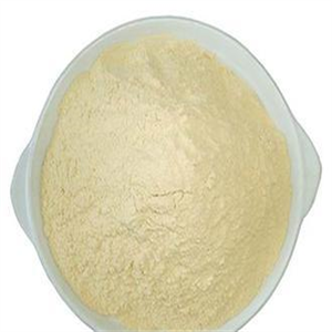 7-Aminocephalosporanic acid