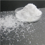 Carboxymethyl cellulose