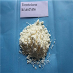 Trenbolone enanthate