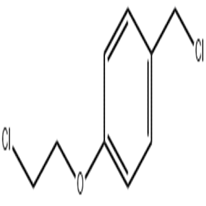 1-(2-chloroethoxy)-4-(chloromethyl)benzene