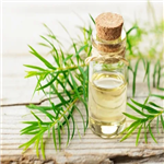 Tea Tree Essential Oil