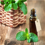 Peppermint Essential Oil