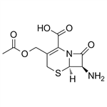 7-Aminocephalosporanic acid