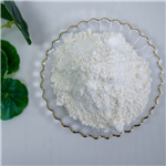 Lidocaine hydrochloride