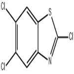 2,5,6-trichloro-1,3-benzothiazole