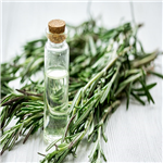 Rosemary oil,Rosemary Essential Oil