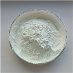 Egg Yolk Powder 