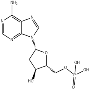 2'-Deoxyadenosine-5'-monophosphate