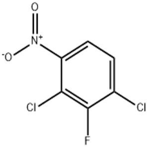 2,4-Dichloro-3-fluoronitrobenzene