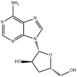 Cordycepin