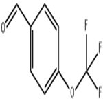 4-(Trifluoromethoxy)benzaldehyde