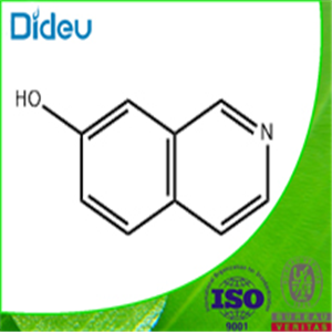 7-Hydroxyisoquinoline 