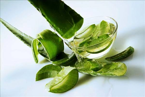 Curacao Aloe Vera Leaf Juice