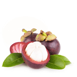 mangosteen extract