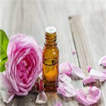 Rose Oil