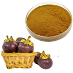 mangosteen extract