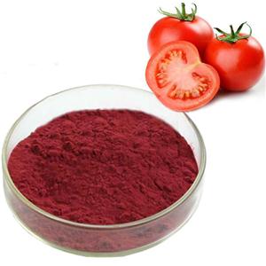 Lycopene powder