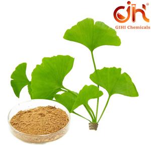 Ginkgo Biloba Extract