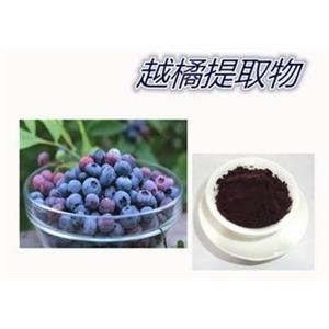 European Bilberry Extract