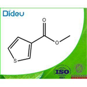 METHYL 3-THIOPHENECARBOXYLATE  97 