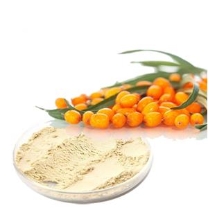 sea buckthorn extract