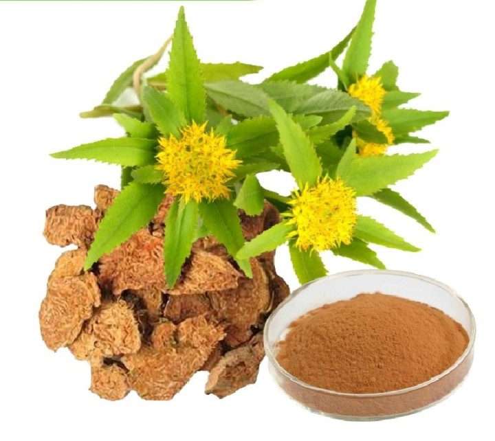 Rhodiola Rosea Extract