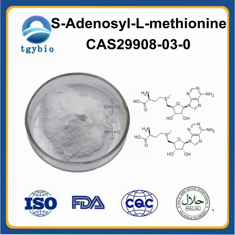 S-Adenosyl-L-methionine