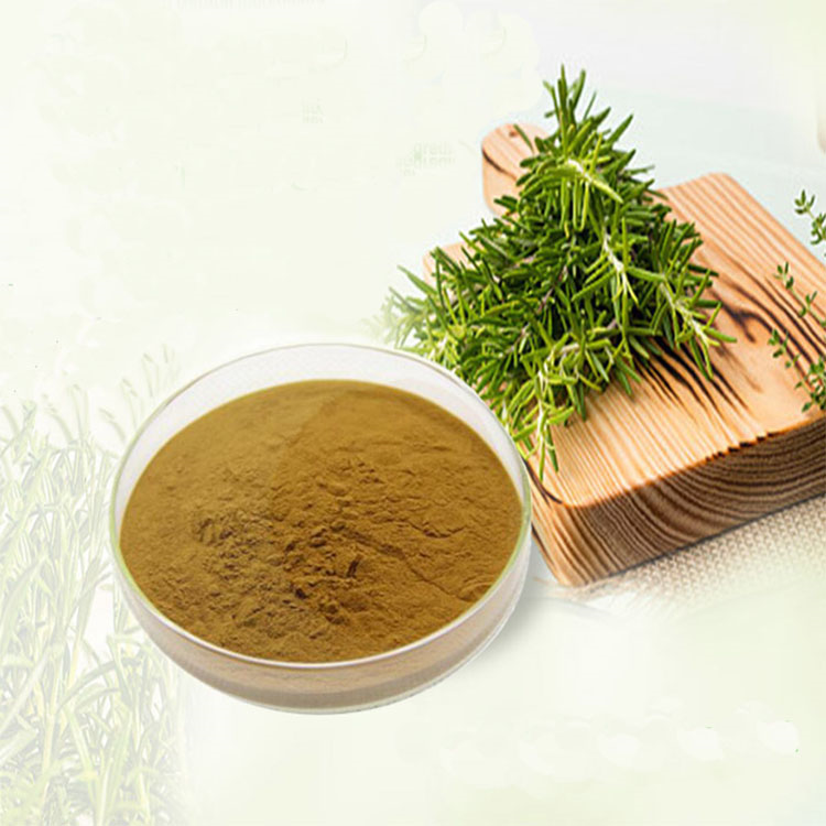 Ursolic acid Rosemary Extract 