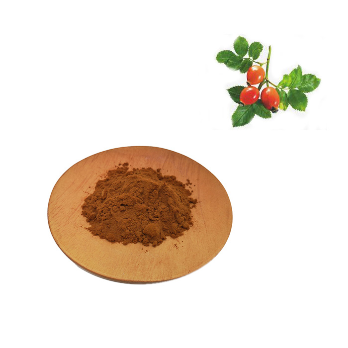 Rose Hip extract