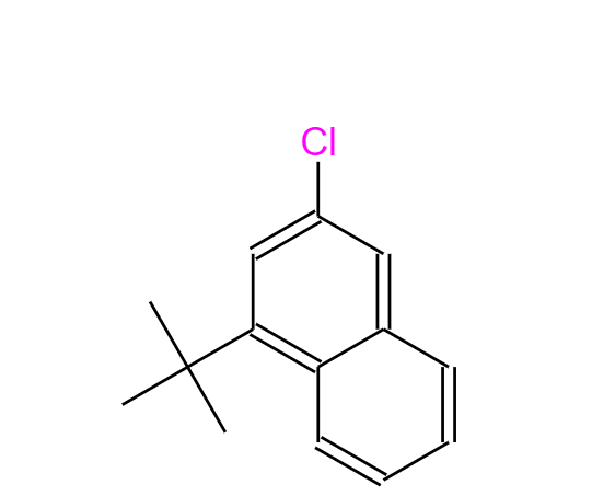 3-chloro-1-(1,1-dimethylethyl)Naphthalene