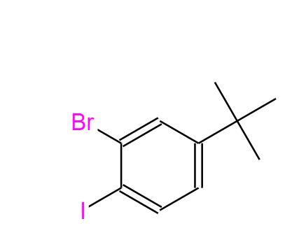 2-Bromo-4-tert-butyl-1-iodo-benzene