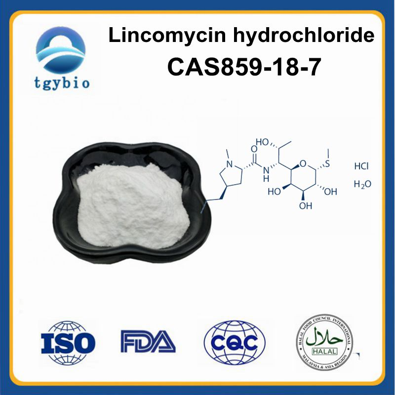 Lincomycin hydrochloride