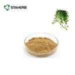 Ivy Leaf Extract