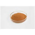 Rhodiola Rosea Extract