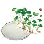 centella extract