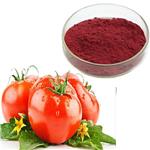 lycopene tomato Extract