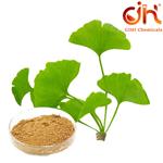 Ginkgo Biloba Extract