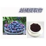 European Bilberry Extract