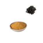 Dark Tea Extract