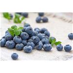 Blueberry Extract