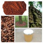 Pine Bark Extract