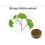 Ginkgo Biloba Extract