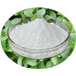 Stevia Extract