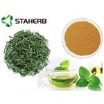 Green Tea Extract