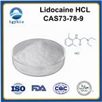 Lidocaine hydrochloride;lidocaine HCL