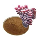 grape skin extract