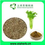 celery seeds extarct