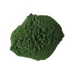 Spirulina Powder