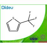 2-(TRIFLUOROMETHYL)THIOPHENE 