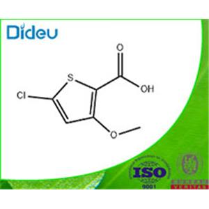 5-Chloro-3-methoxy-thiophene-2-carboxylic acid 